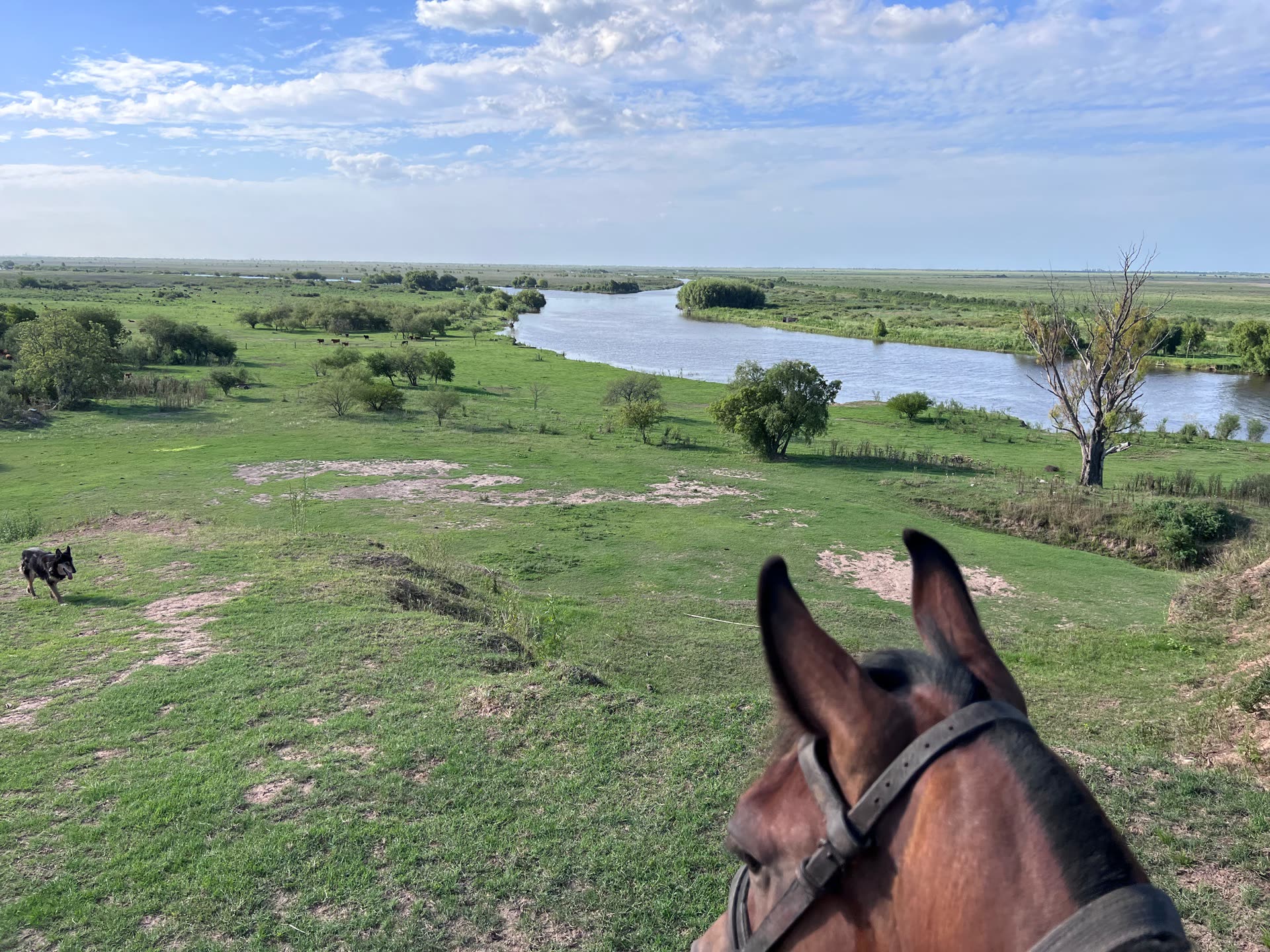 La barranca del río Baradero vista desde el caballo — El Vintén